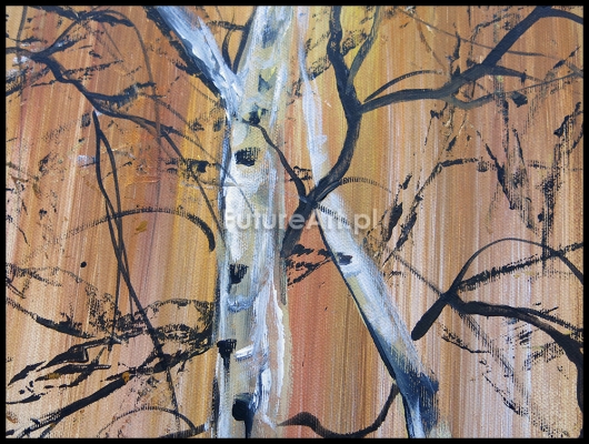 Zdjęcie produktu obraz nr 6798